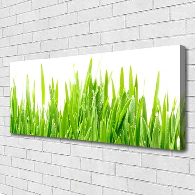 Print op doek Grass nature plant