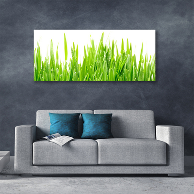 Print op doek Grass nature plant