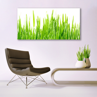 Print op doek Grass nature plant