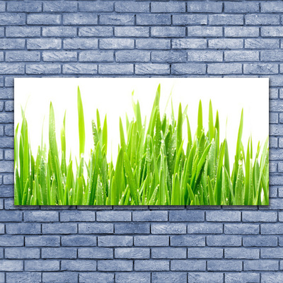 Print op doek Grass nature plant