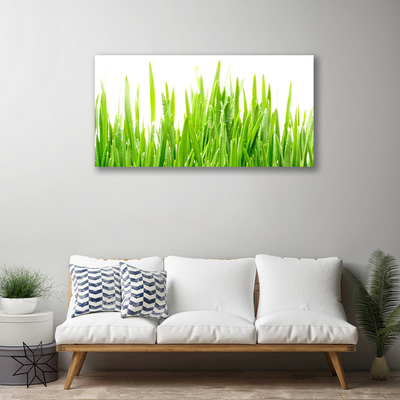 Print op doek Grass nature plant