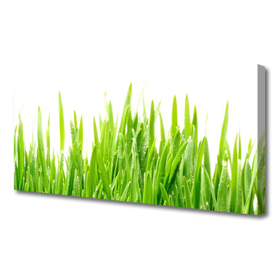 Print op doek Grass nature plant