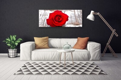 Print op doek Rose flower plant natuur