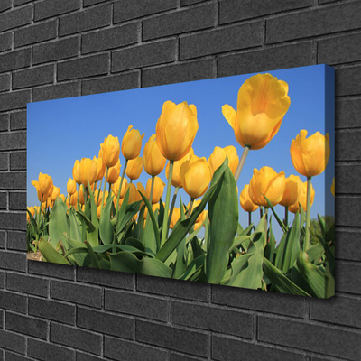 Print op doek Tulpen bloemen plant