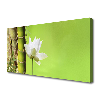 Print op doek Bamboo stengelplant nature