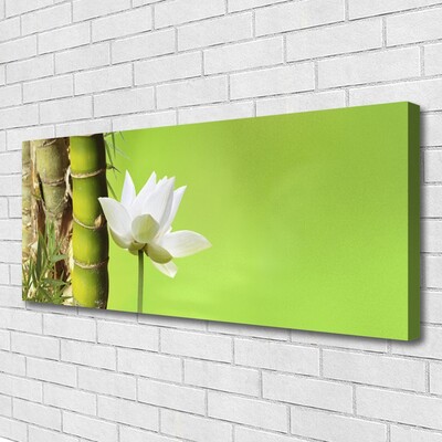 Print op doek Bamboo stengelplant nature