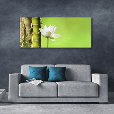 Print op doek Bamboo stengelplant nature