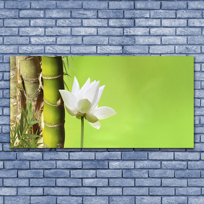 Print op doek Bamboo stengelplant nature