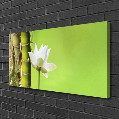 Print op doek Bamboo stengelplant nature