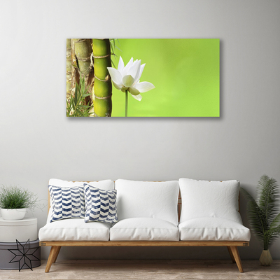 Print op doek Bamboo stengelplant nature