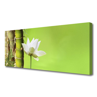 Print op doek Bamboo stengelplant nature