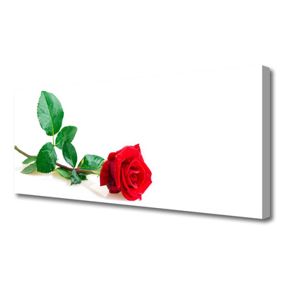 Print op doek Rose flower plant natuur