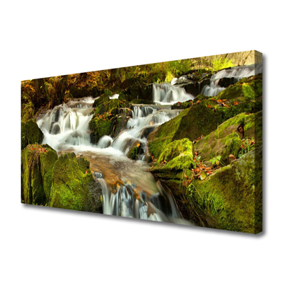 Print op doek Rocks natuur van de waterval