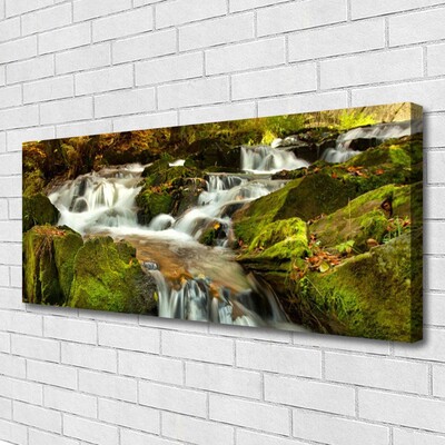 Print op doek Rocks natuur van de waterval