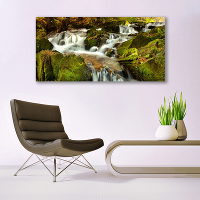 Print op doek Rocks natuur van de waterval