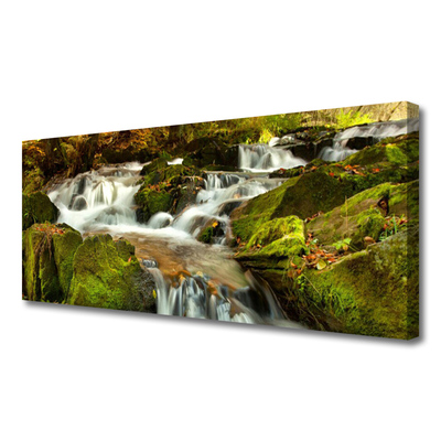 Print op doek Rocks natuur van de waterval