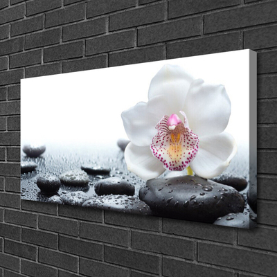 Print op doek Orchid flower art