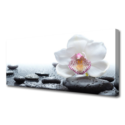 Print op doek Orchid flower art