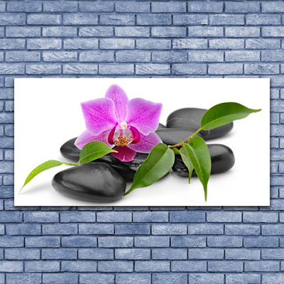 Print op doek Orchid flower art