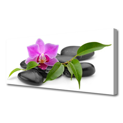 Print op doek Orchid flower art