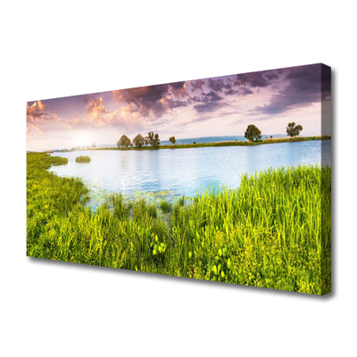 Print op doek Grass lake nature