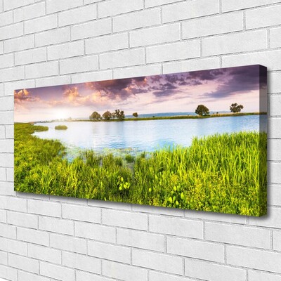 Print op doek Grass lake nature