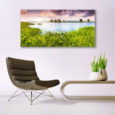 Print op doek Grass lake nature