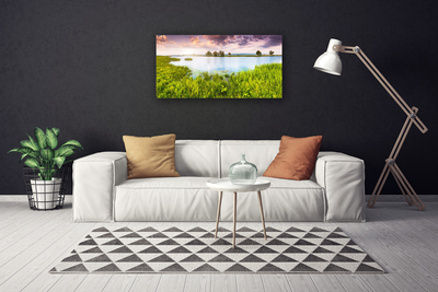 Print op doek Grass lake nature