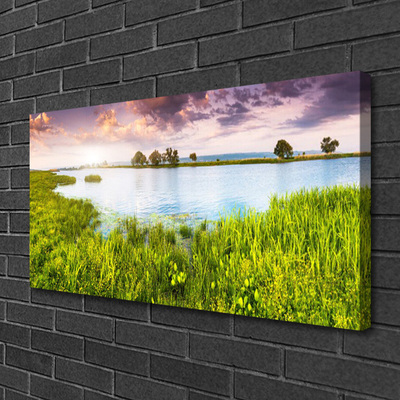 Print op doek Grass lake nature