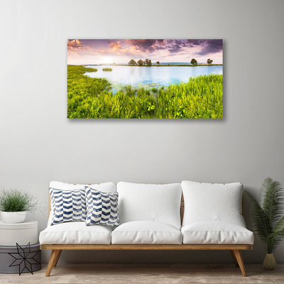 Print op doek Grass lake nature