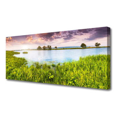 Print op doek Grass lake nature