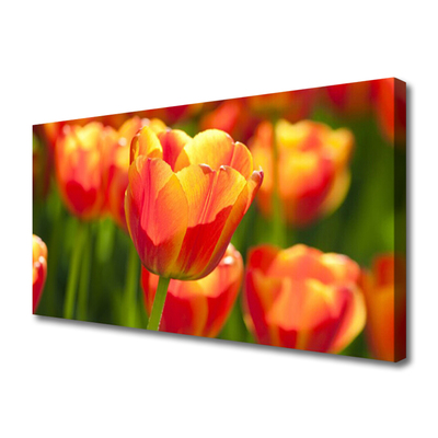 Print op doek Tulpen bloemen plant