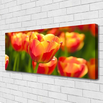 Print op doek Tulpen bloemen plant