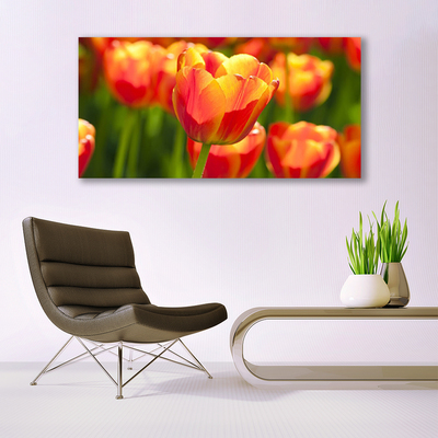 Print op doek Tulpen bloemen plant