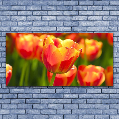 Print op doek Tulpen bloemen plant