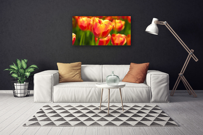 Print op doek Tulpen bloemen plant