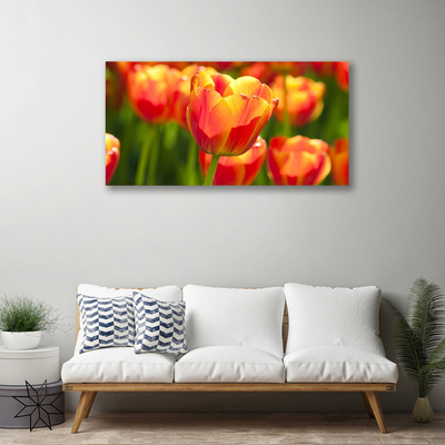 Print op doek Tulpen bloemen plant