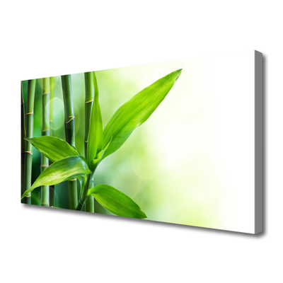 Print op doek Bamboo leaf nature plant
