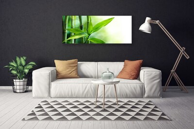 Print op doek Bamboo leaf nature plant