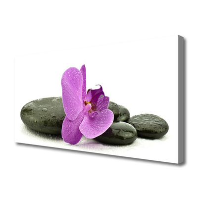 Print op doek Orchidee bloem orchidee
