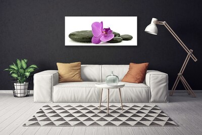 Print op doek Orchidee bloem orchidee