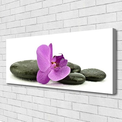 Print op doek Orchidee bloem orchidee