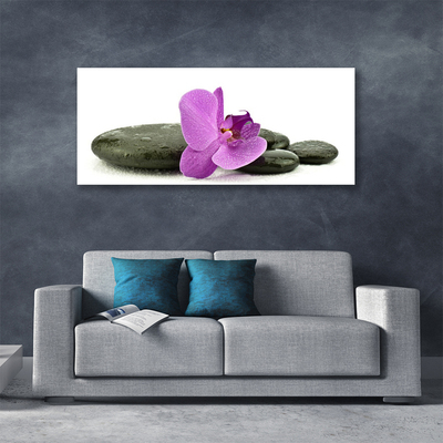 Print op doek Orchidee bloem orchidee