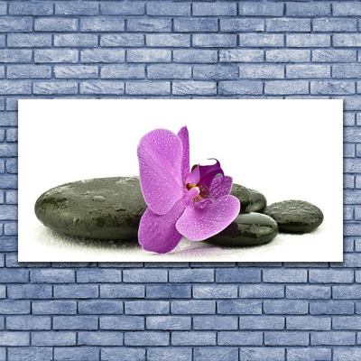 Print op doek Orchidee bloem orchidee