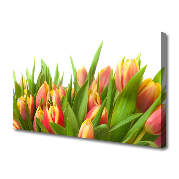 Canvas doek foto Tulpen bloemen plant