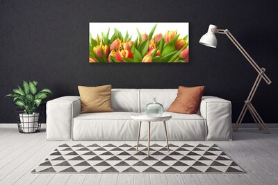 Canvas doek foto Tulpen bloemen plant