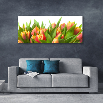 Canvas doek foto Tulpen bloemen plant