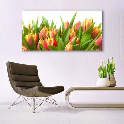 Canvas doek foto Tulpen bloemen plant