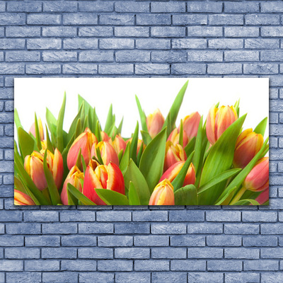 Canvas doek foto Tulpen bloemen plant