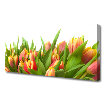 Canvas doek foto Tulpen bloemen plant